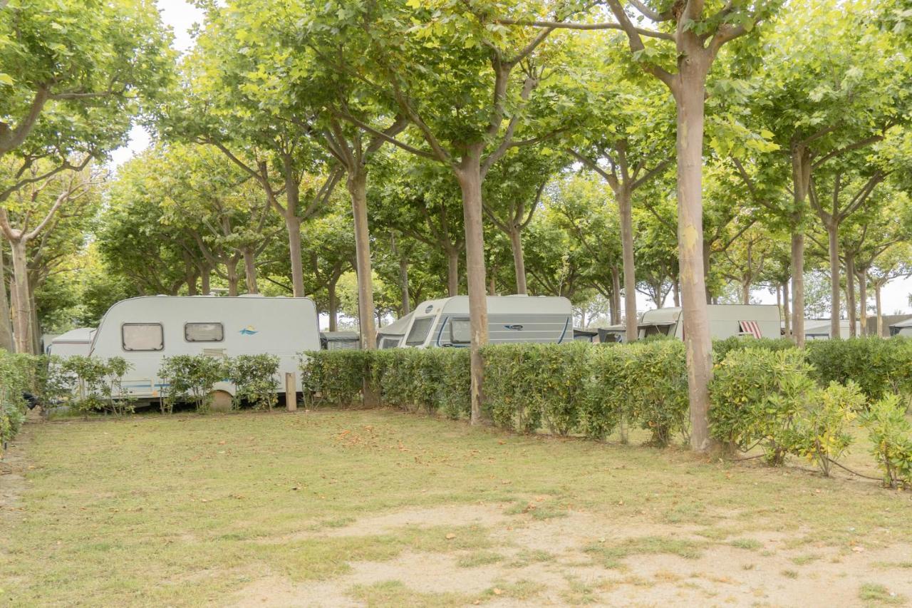 Camping Senia Caballo De Mar Pineda de Mar