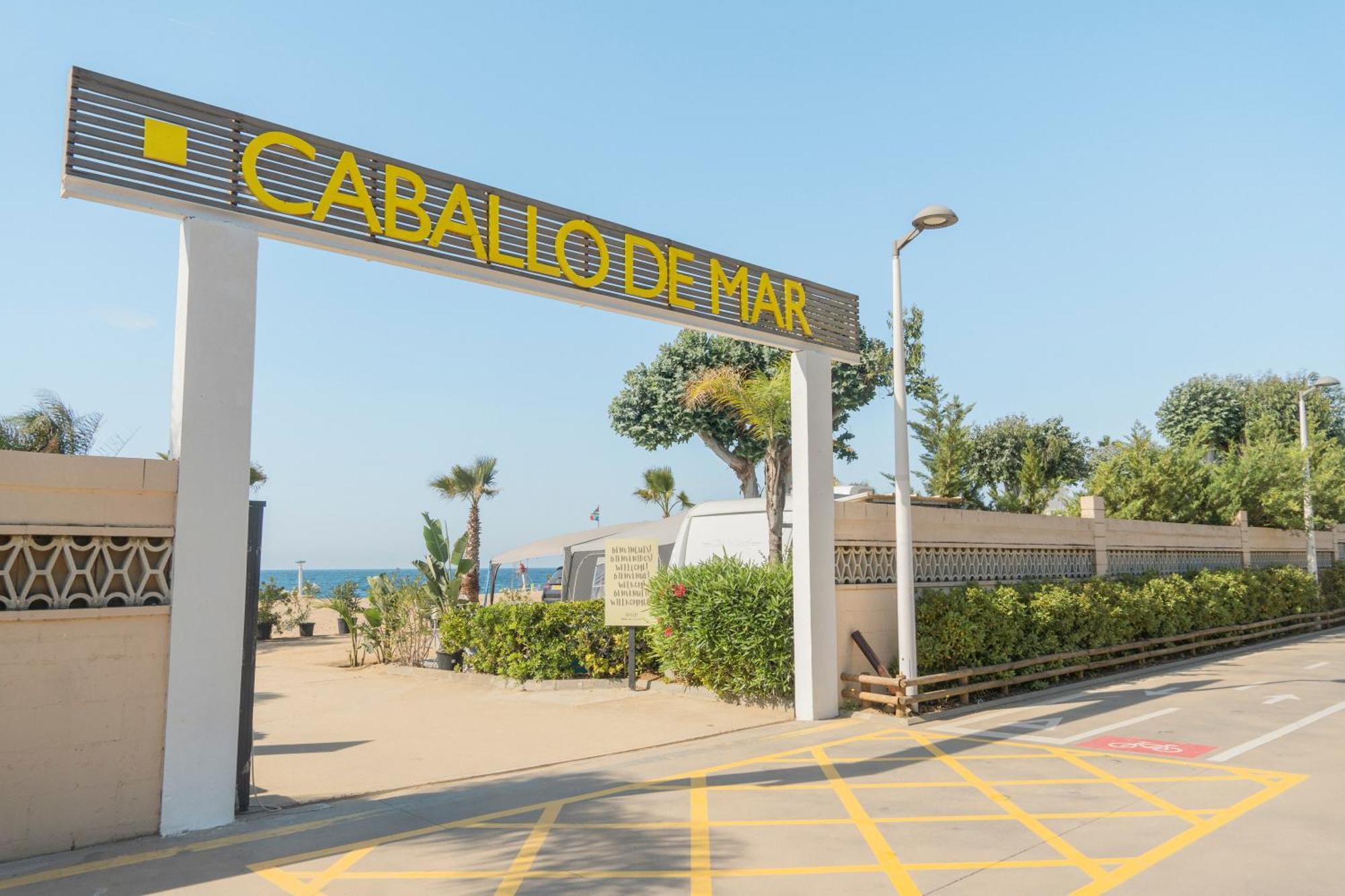 Senia Caballo De Mar 2*