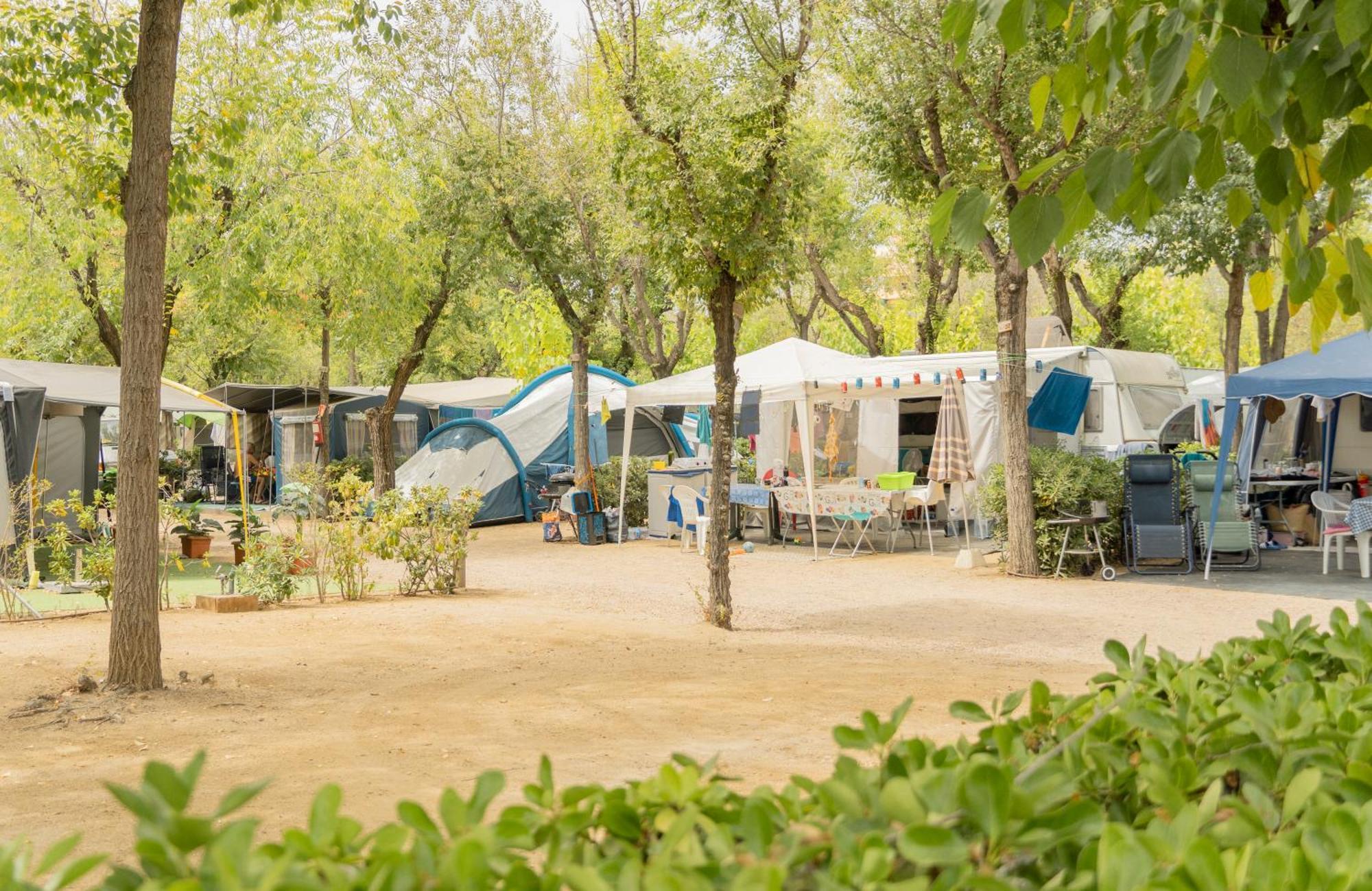 Senia Caballo De Mar Camping