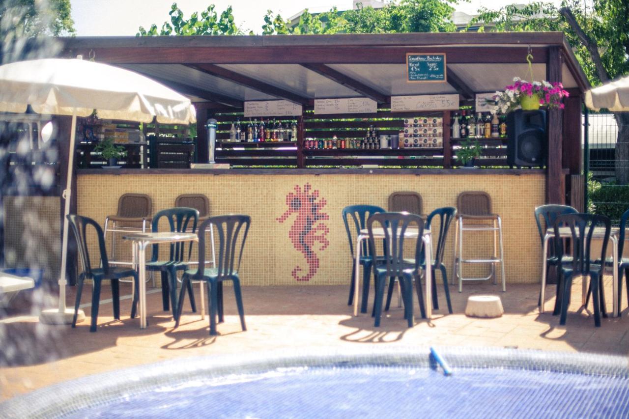 Senia Caballo De Mar Camping