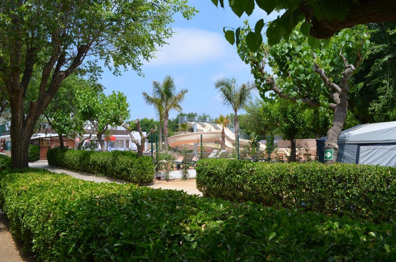 Camping Senia Caballo De Mar Pineda de Mar